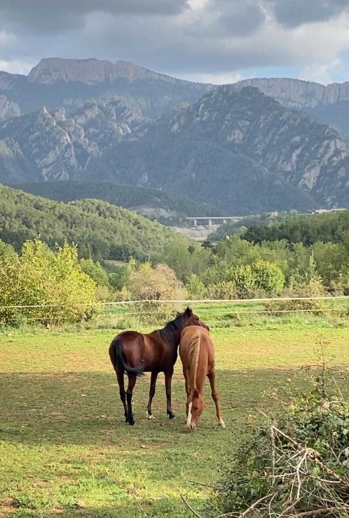 Alberg Rural Torre Del Baro Sant Llorenç de Morunys Bagian luar foto